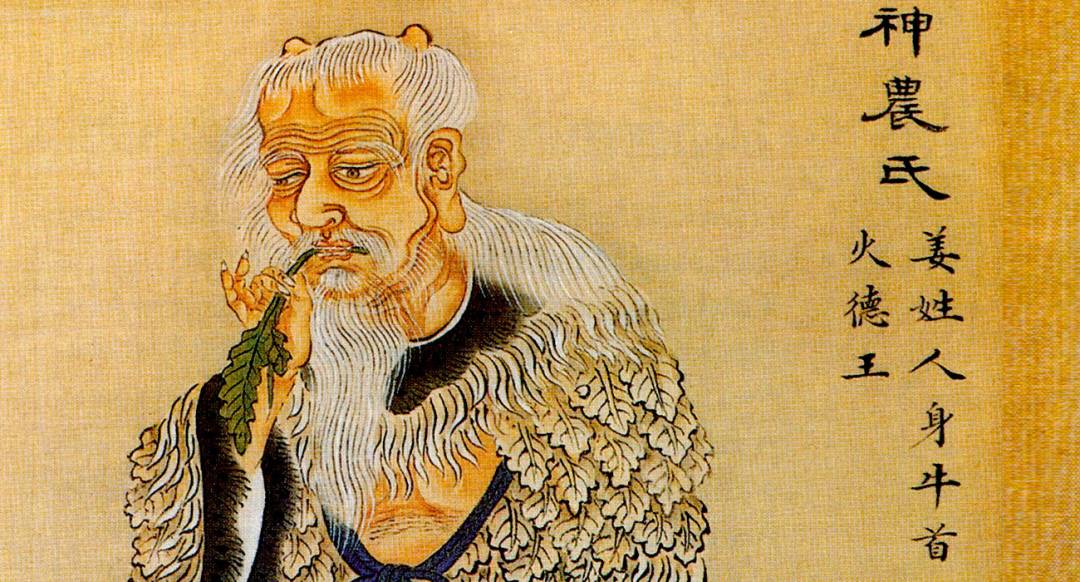 El Alquimista del Estómago Transparente: las raíces de la medicina china